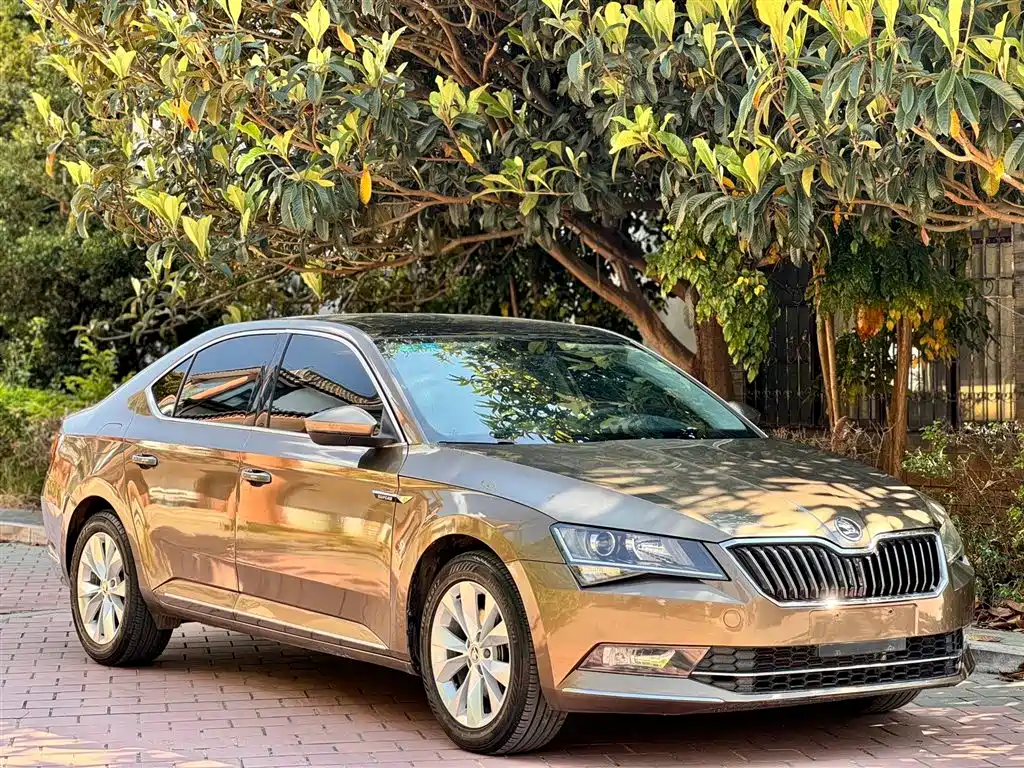 Škoda Superb 2018 TSI330 DSG Comfort Edition China V фото 8