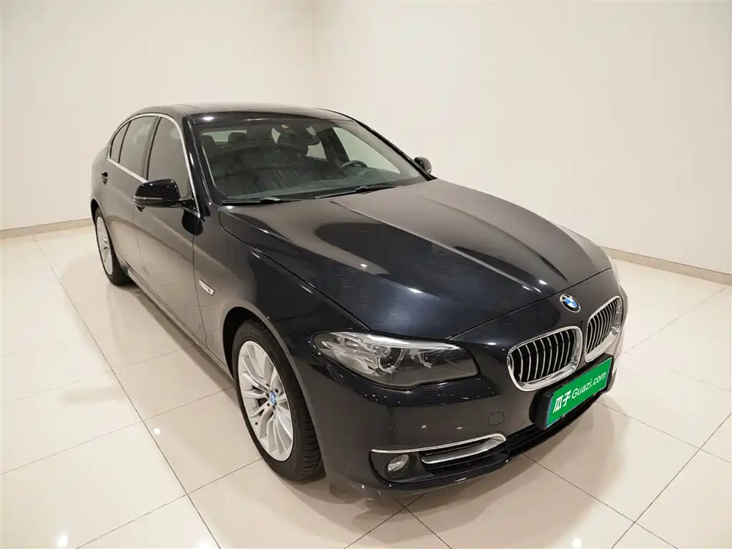 BMW 5 Series 2014 525Li Luxury Design Package фото 22