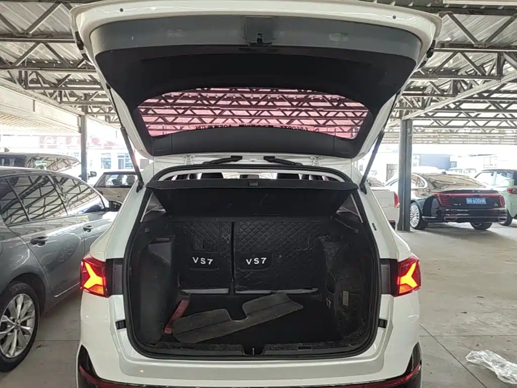 Photo 19 - Jetta VS7