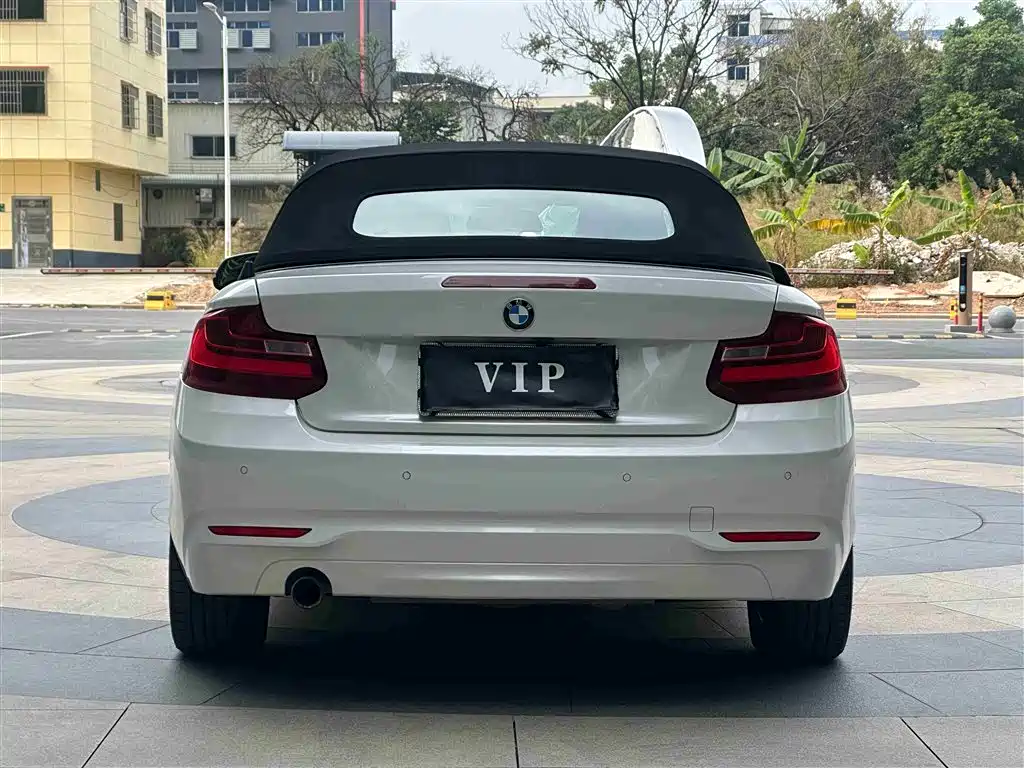 BMW 2 Series (Import) 2015 218i Convertible Coupe фото 8