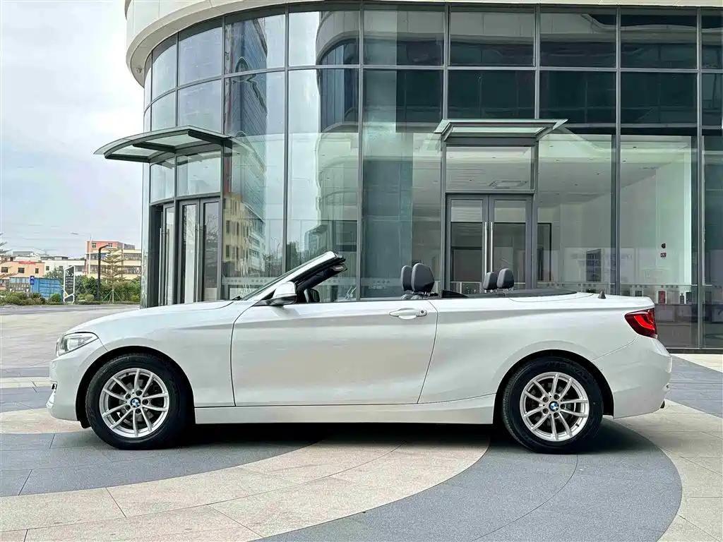 BMW 2 Series (Import) 2015 218i Convertible Coupe фото 25