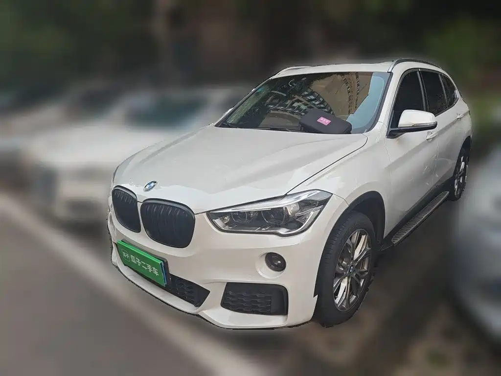 BMW X1 2018 sDrive20Li Leading Model