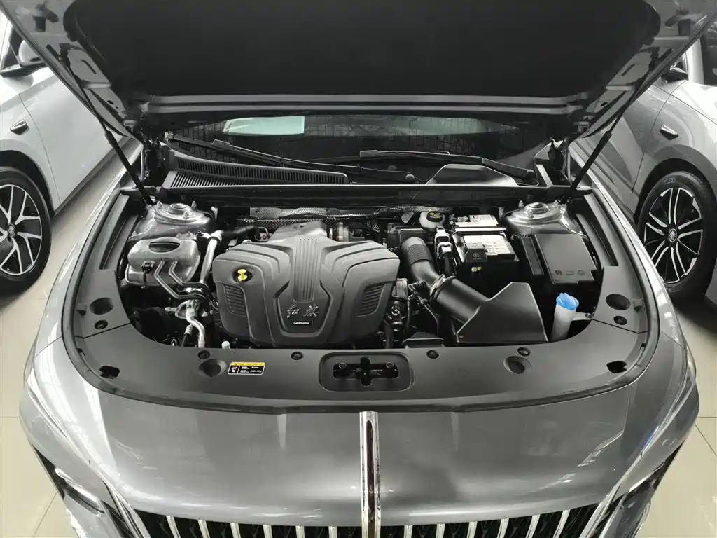 Hongqi H5 2023 2.0T Auto Smart Connect Flag Comfort фото 20