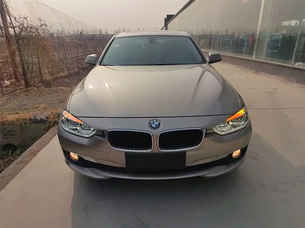 BMW 3 Series 2017 320Li Fashion фото 3