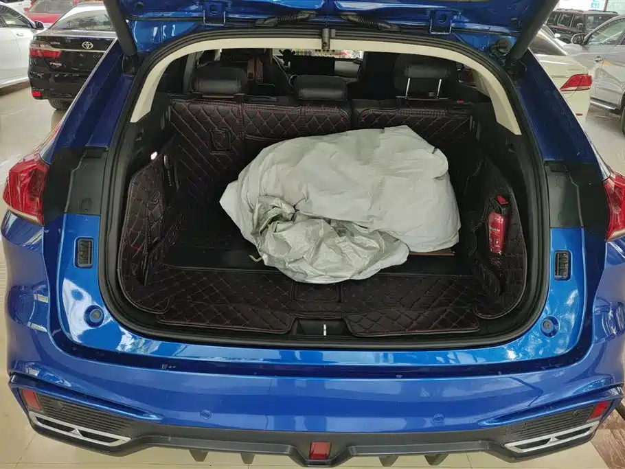 WEI PAI WEI BRAND VV5