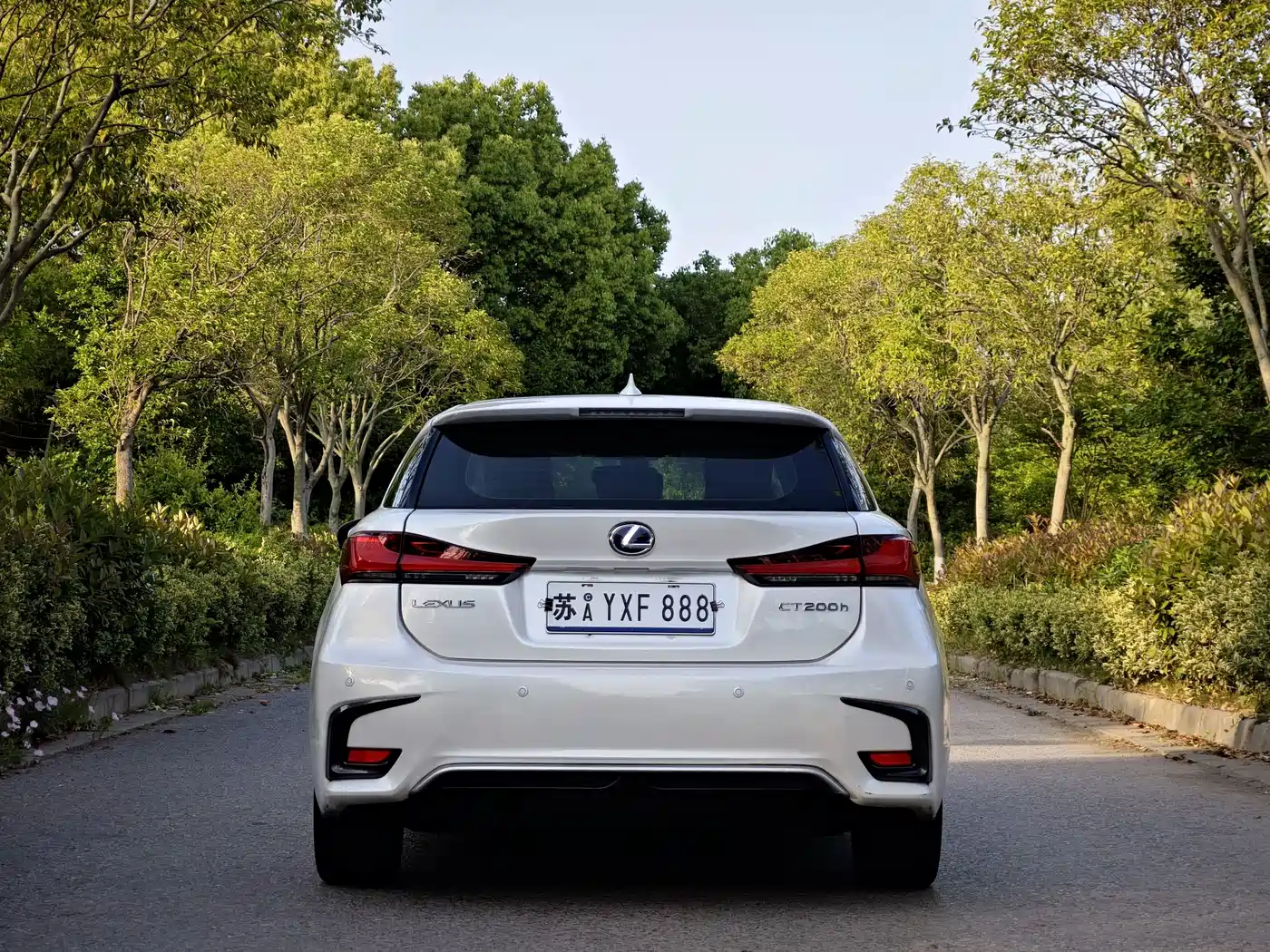 Lexus CT 2017 CT200h Elite Edition Monochrome China V фото 6