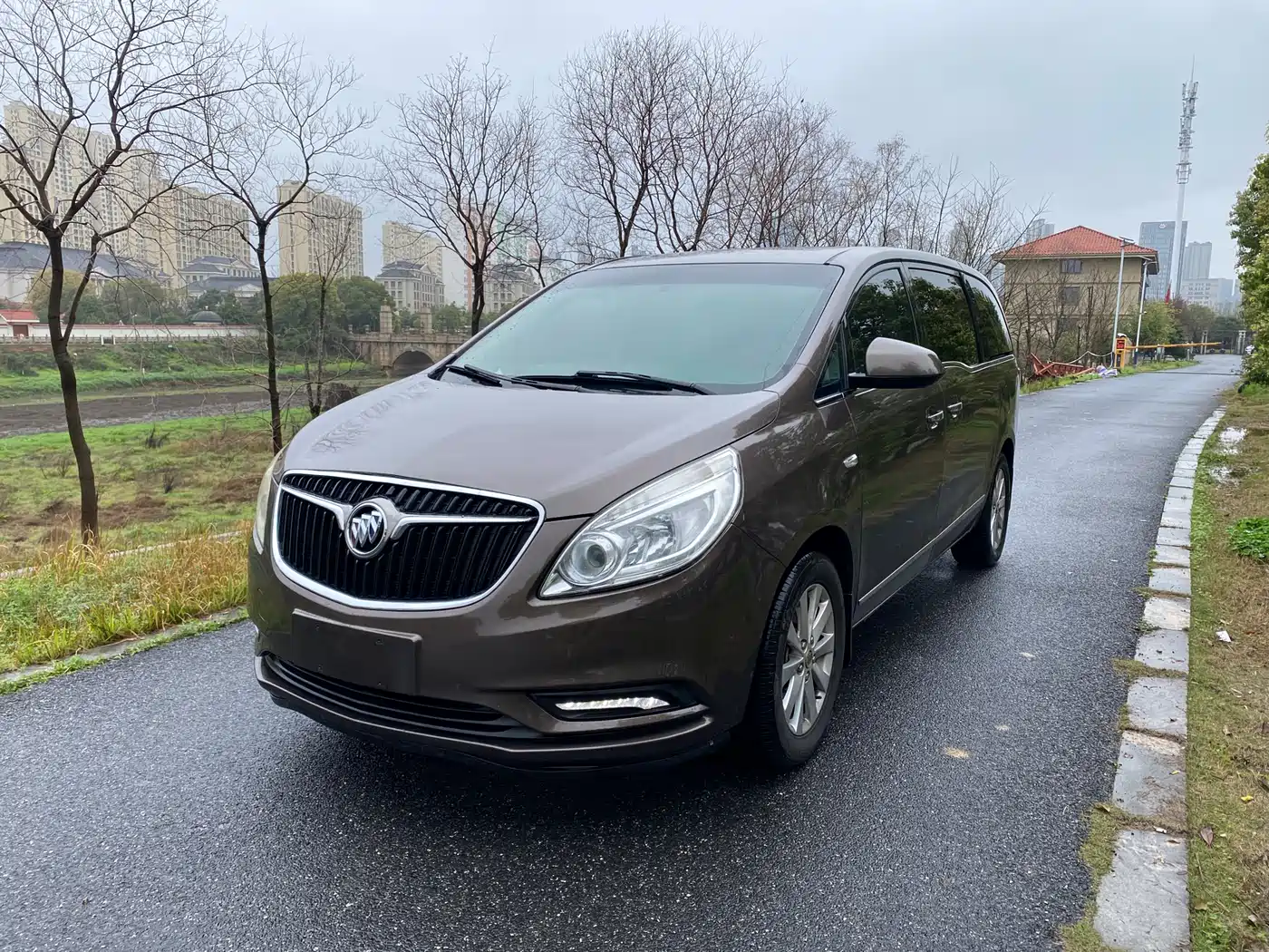 Buick GL8 2017 25S Luxury China V
