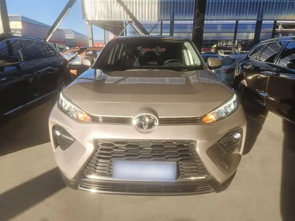 Toyota Wildlander 2020 2.0L CVT FWD Leading Edition фото 3