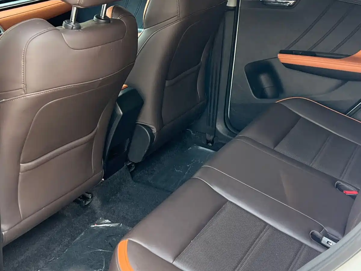 BYD e2 2020 2020 Upgraded Long Range Luxury
