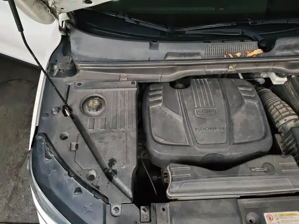 Geely Coolray 2019 2019 260T DCT Knight China V