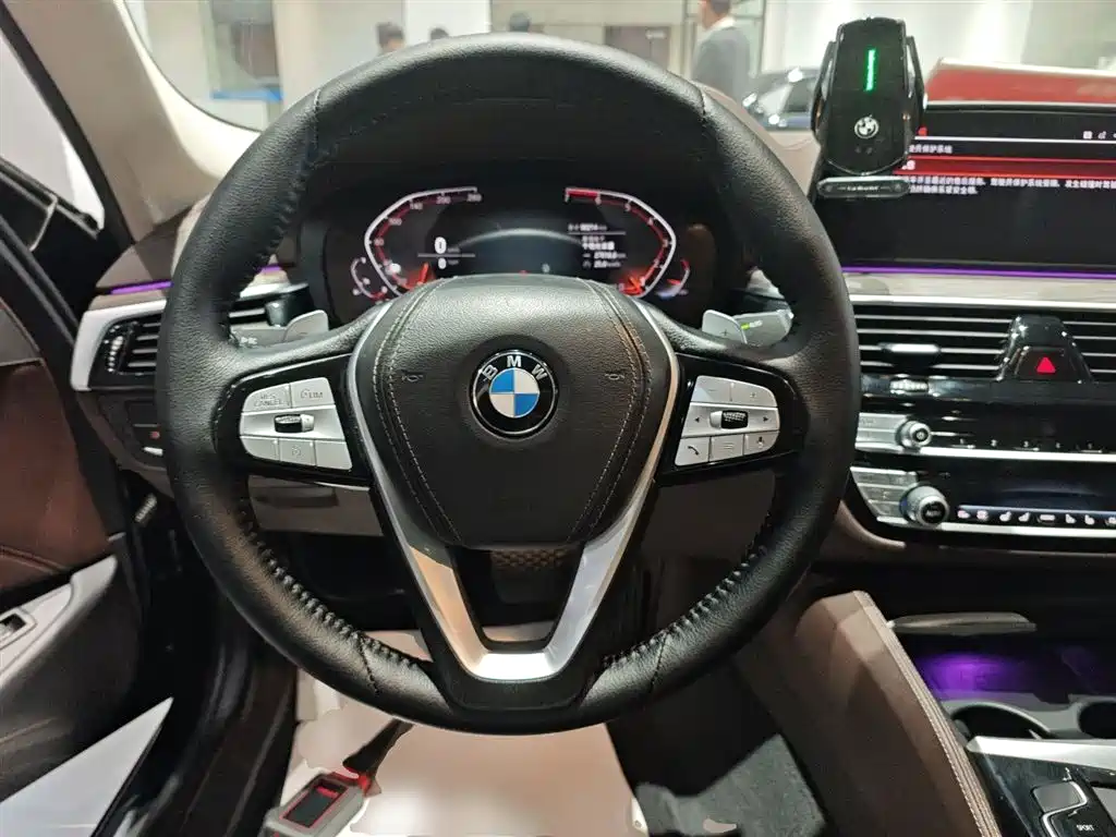 BMW 5 Series 2020 530Li Premium Luxury Package фото 11