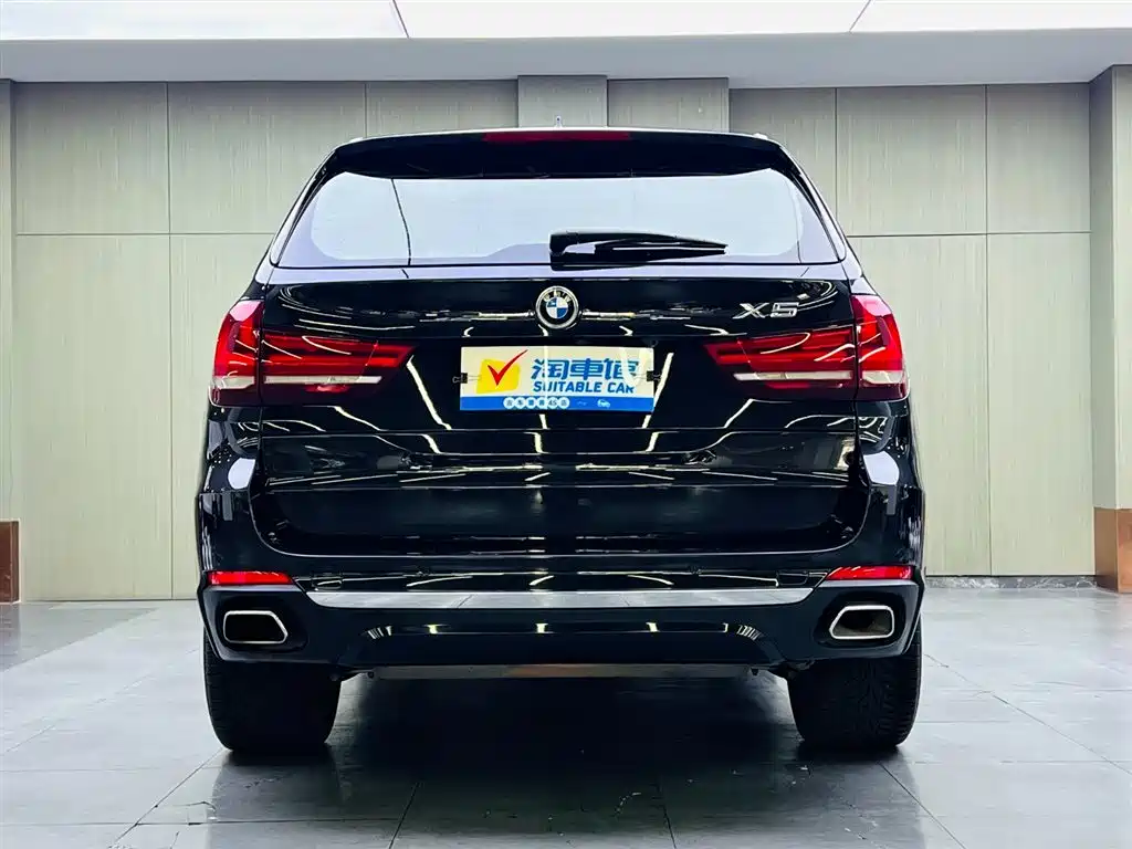 BMW X5 (Import) 2018 xDrive35i Elegant Model фото 5