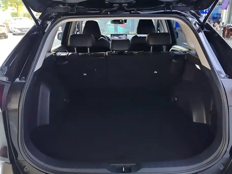 Toyota RAV4 Rongfang 2023 2.0L CVT 2WD Urban Edition фото 4