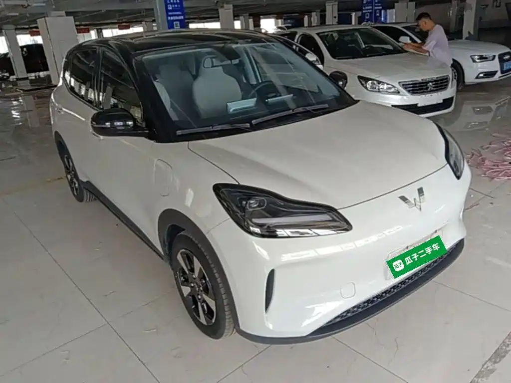 Фото 4 - Wuling Motors Wuling Binguo PLUS