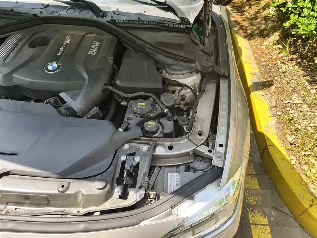 BMW 3 Series 2019 320Li Fashion Type фото 23