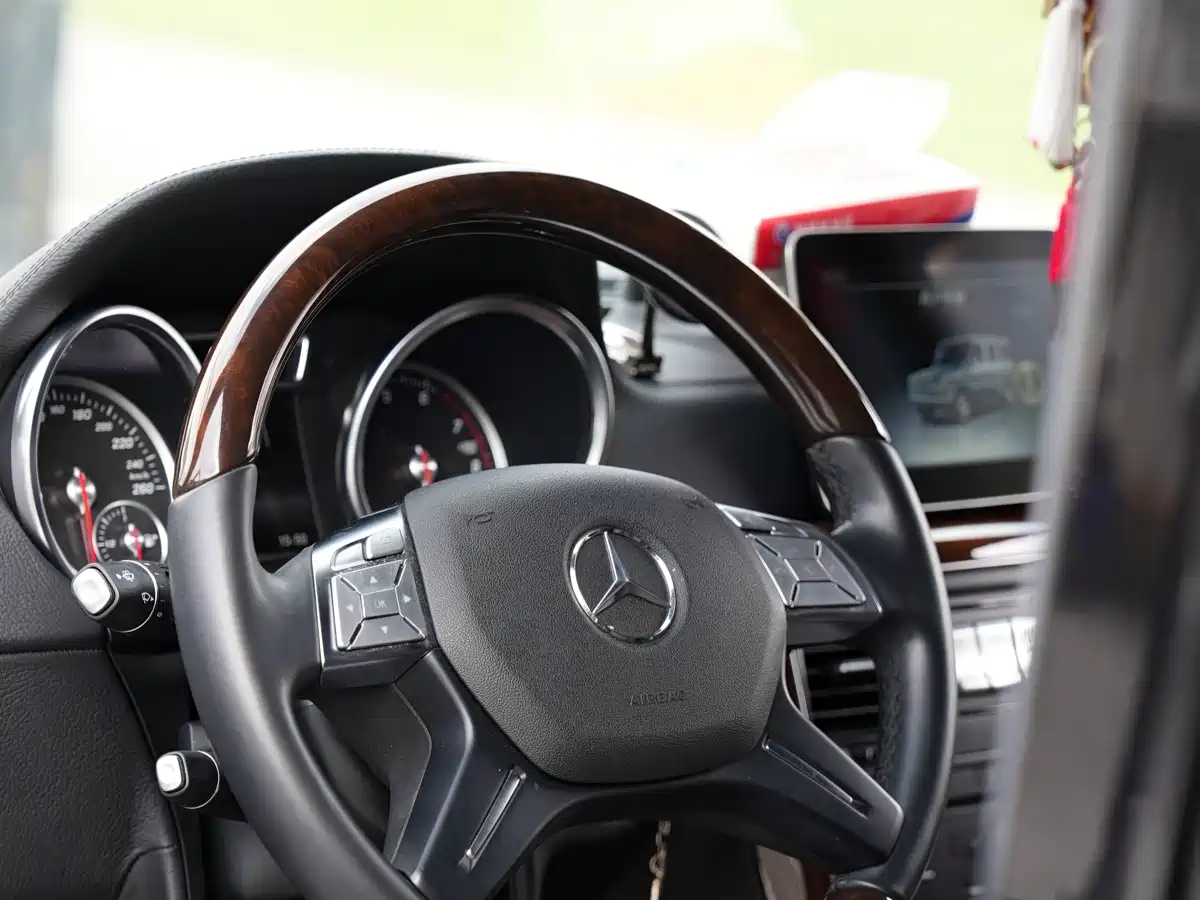 Mercedes-Benz G-Class 2016 G 500 фото 6