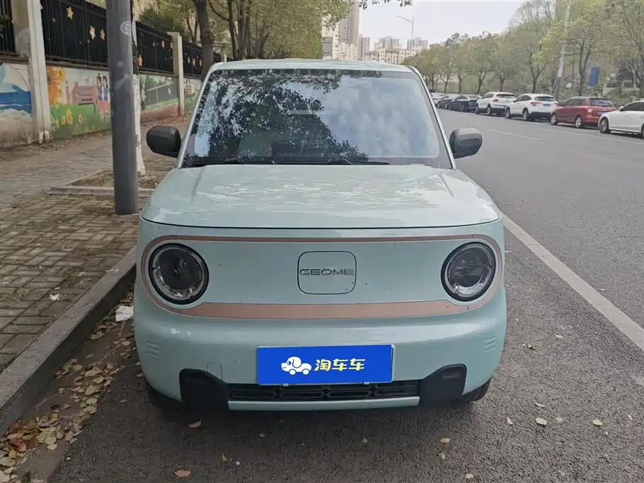 GEELY GALAXY PANDA
