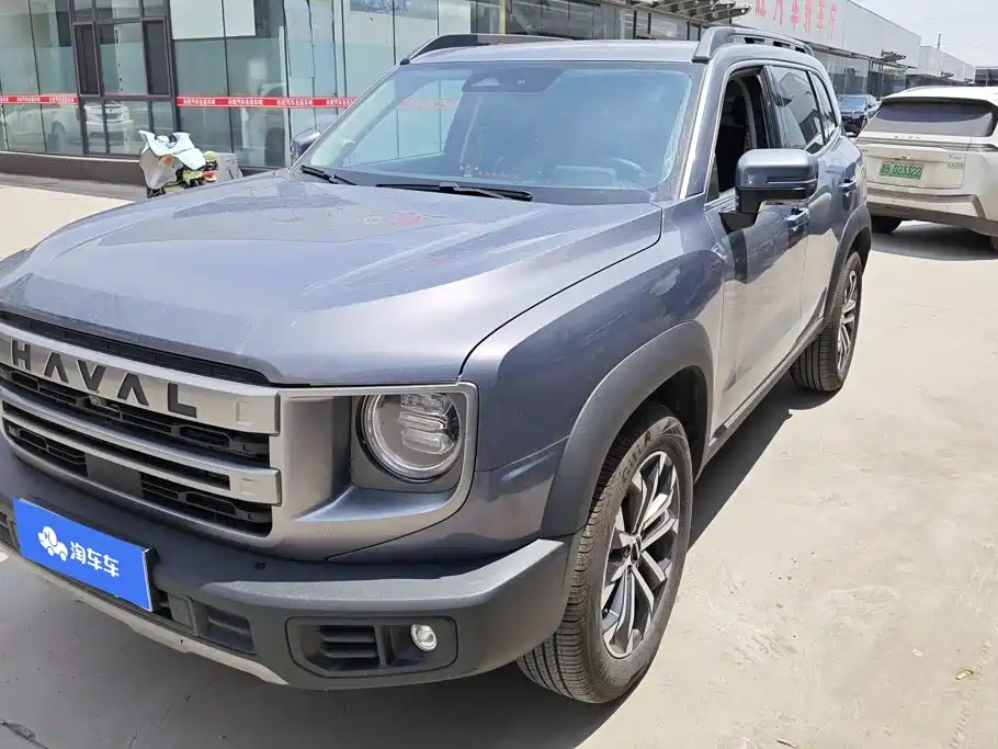 Haval Big Dog 2024 1.5T DCT Border Collie Edition