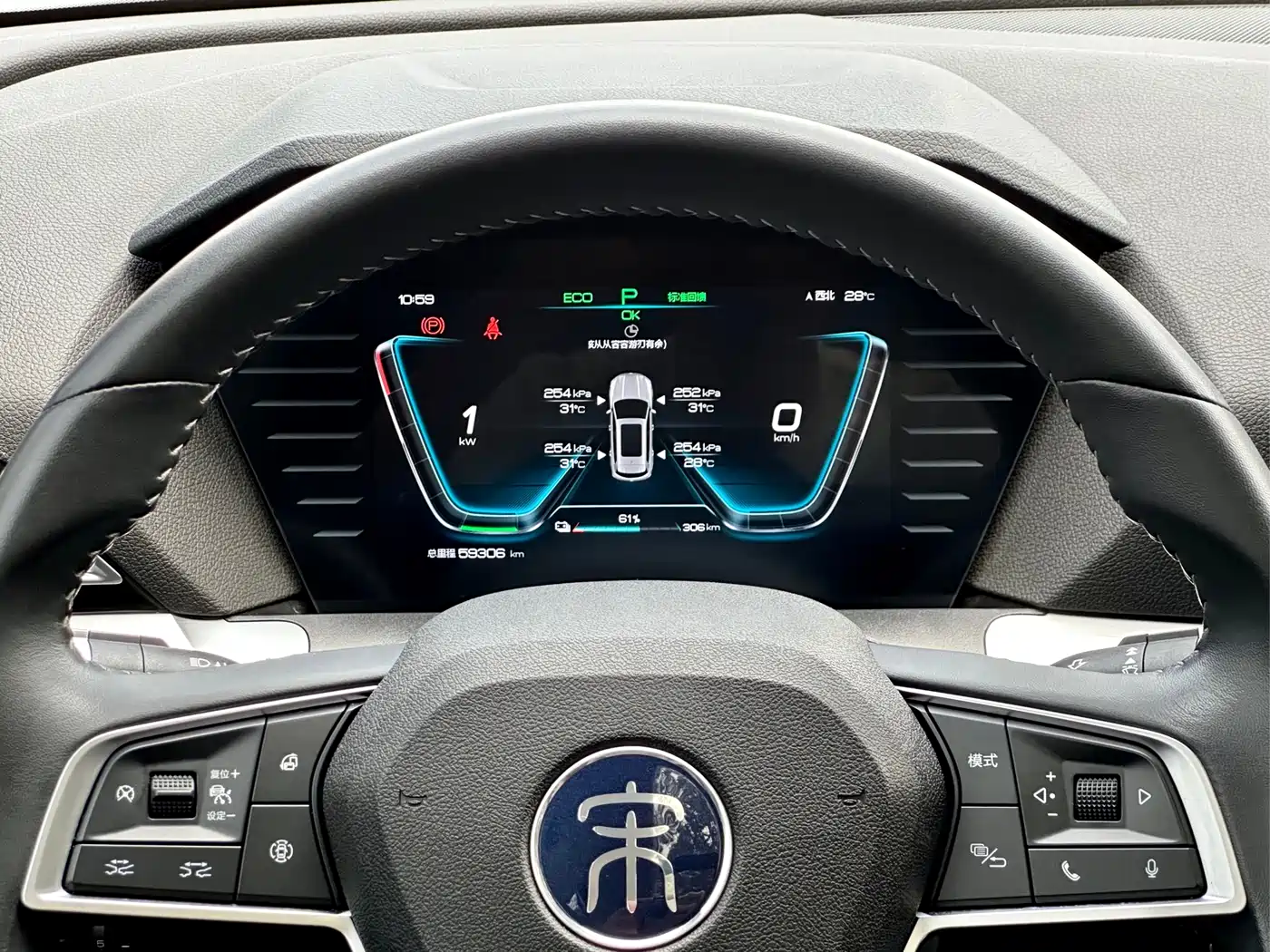 BYD SONGJIANG NEW ENERGY