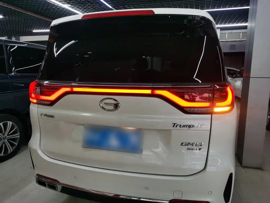 GAC Trumpchi Trumpchi M8 2020 Pilot 390T Prestige Edition фото 22