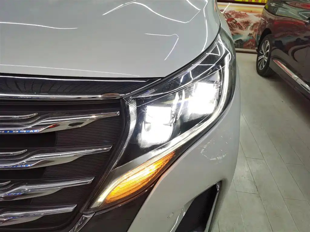 GAC Trumpchi Trumpchi M8 2020 Pilot 390T Prestige Edition фото 15