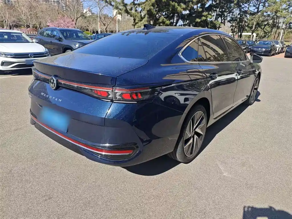 Volkswagen Magotan 2024 380TSI DSG Ultimate Edition фото 16