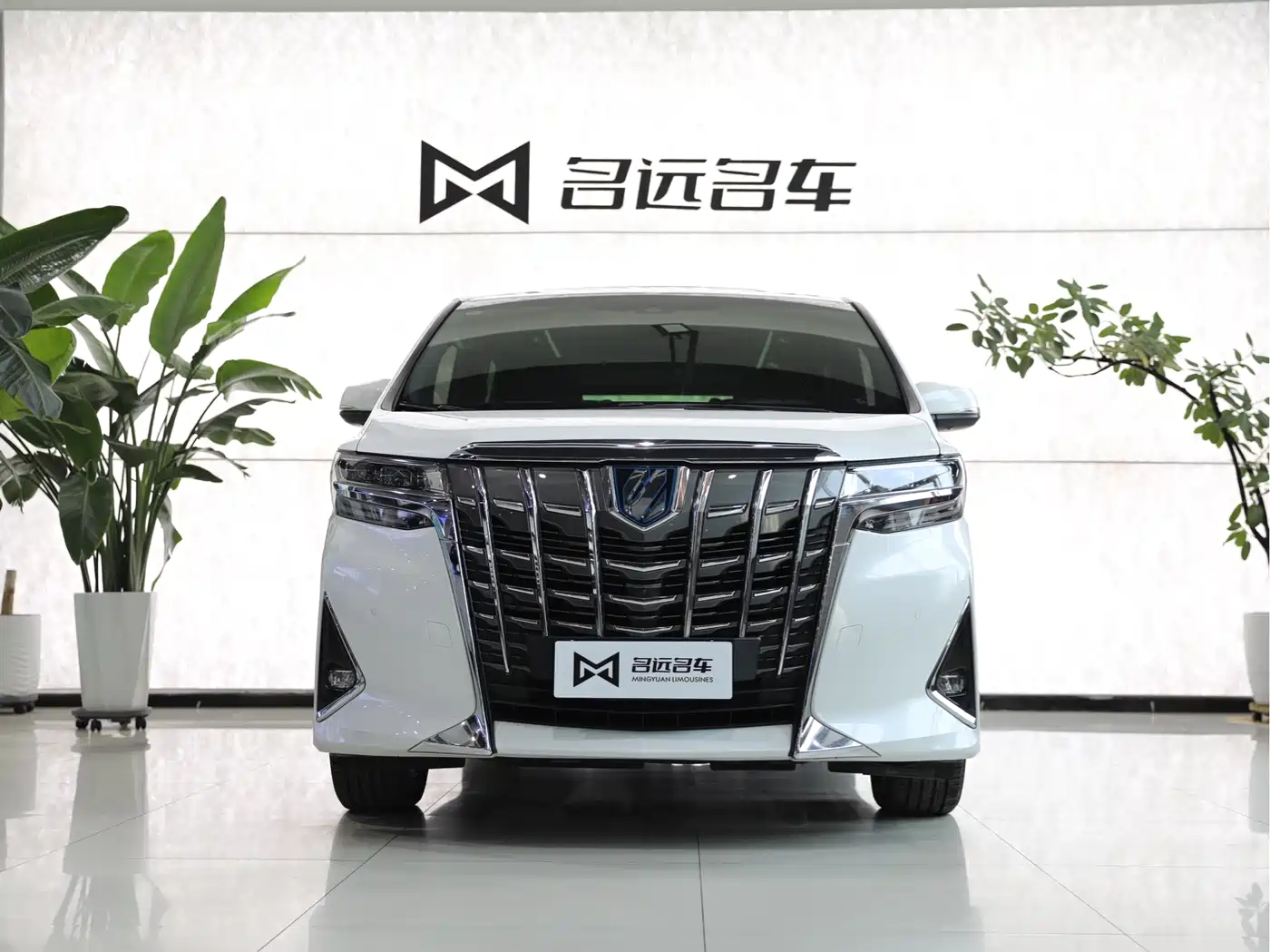 Toyota Alphard 2020 Hybrid 2.5L Premium Edition фото 2