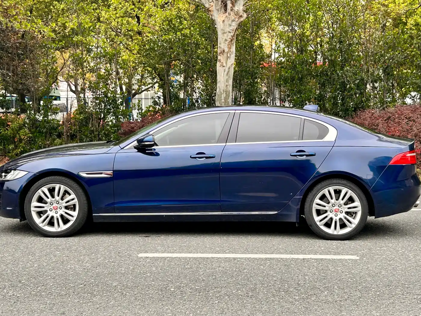 Фото 4 - Jaguar XEL