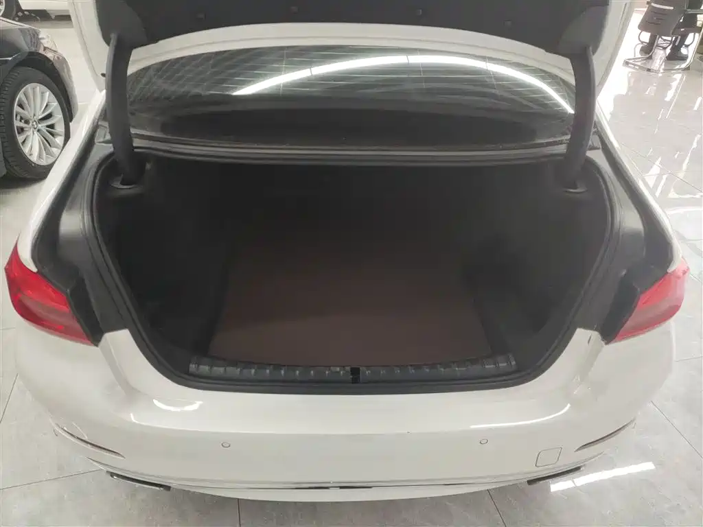 BMW 5 Series 2020 525Li Luxury Package фото 15