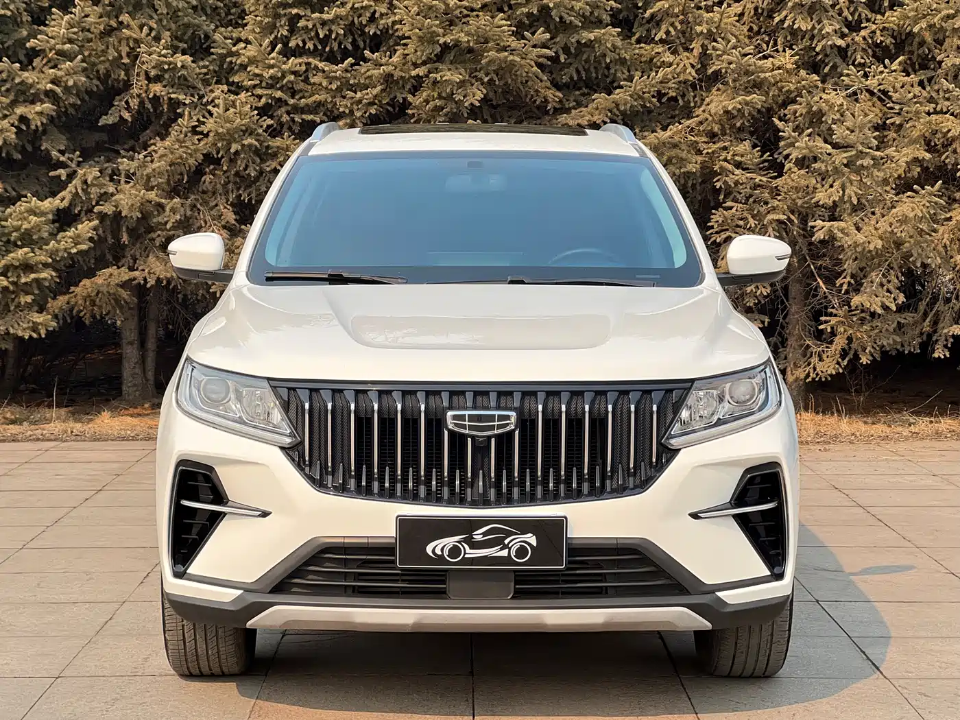 GEELY AUTOMOBILE VISION X6