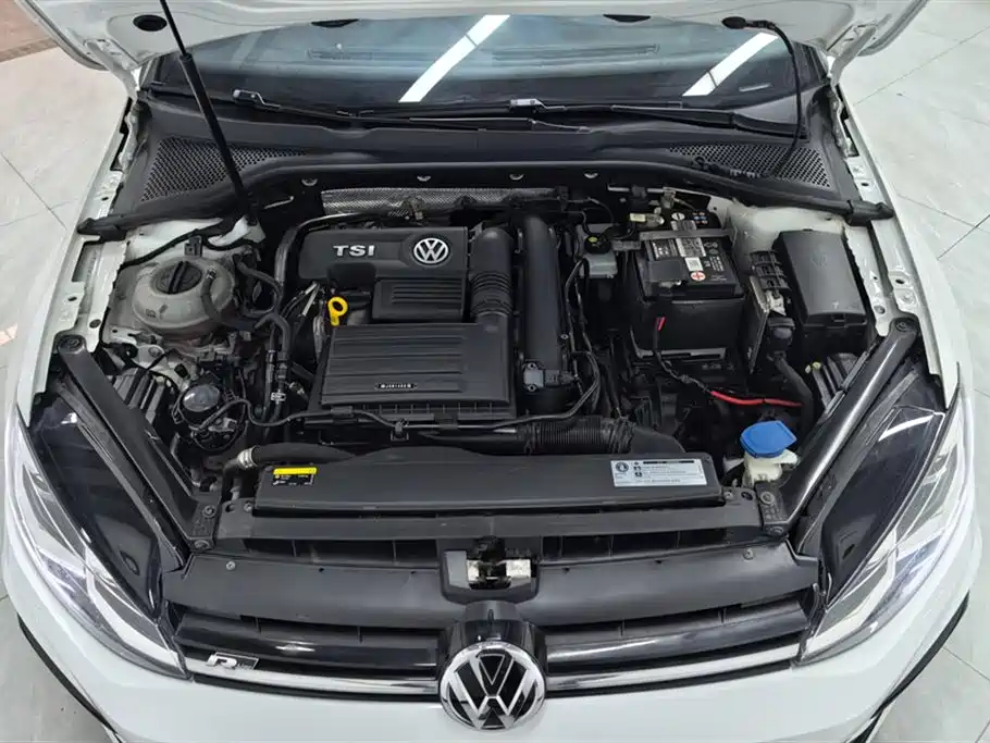 Volkswagen Golf 2019 280TSI DSG R-Line China VI фото 10