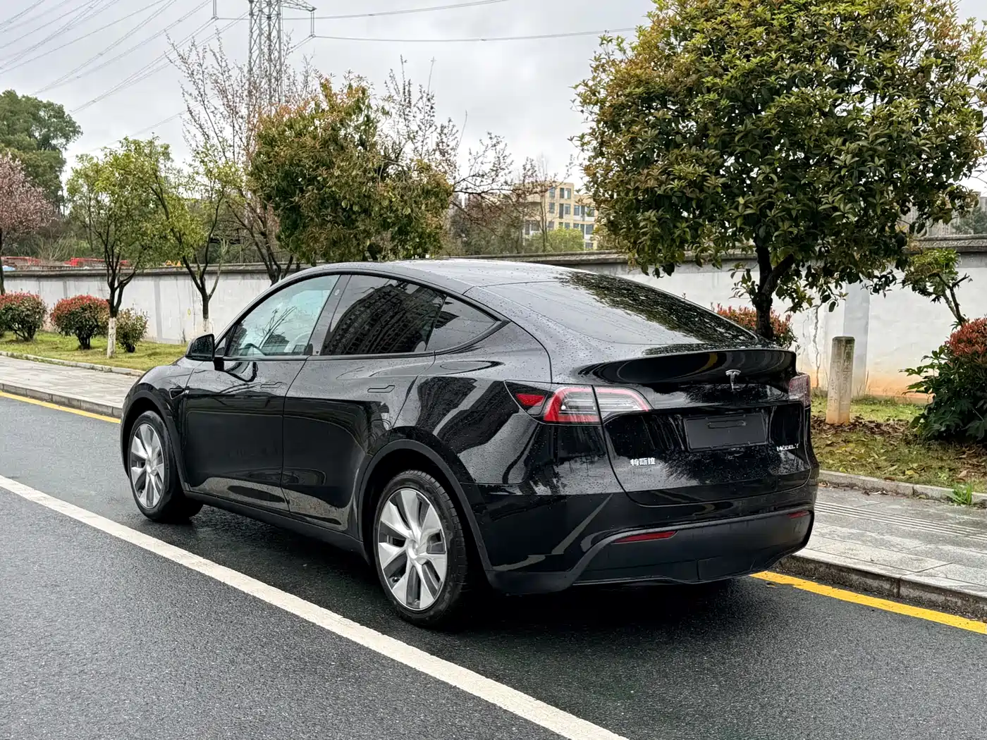 TESLA MODEL Y
