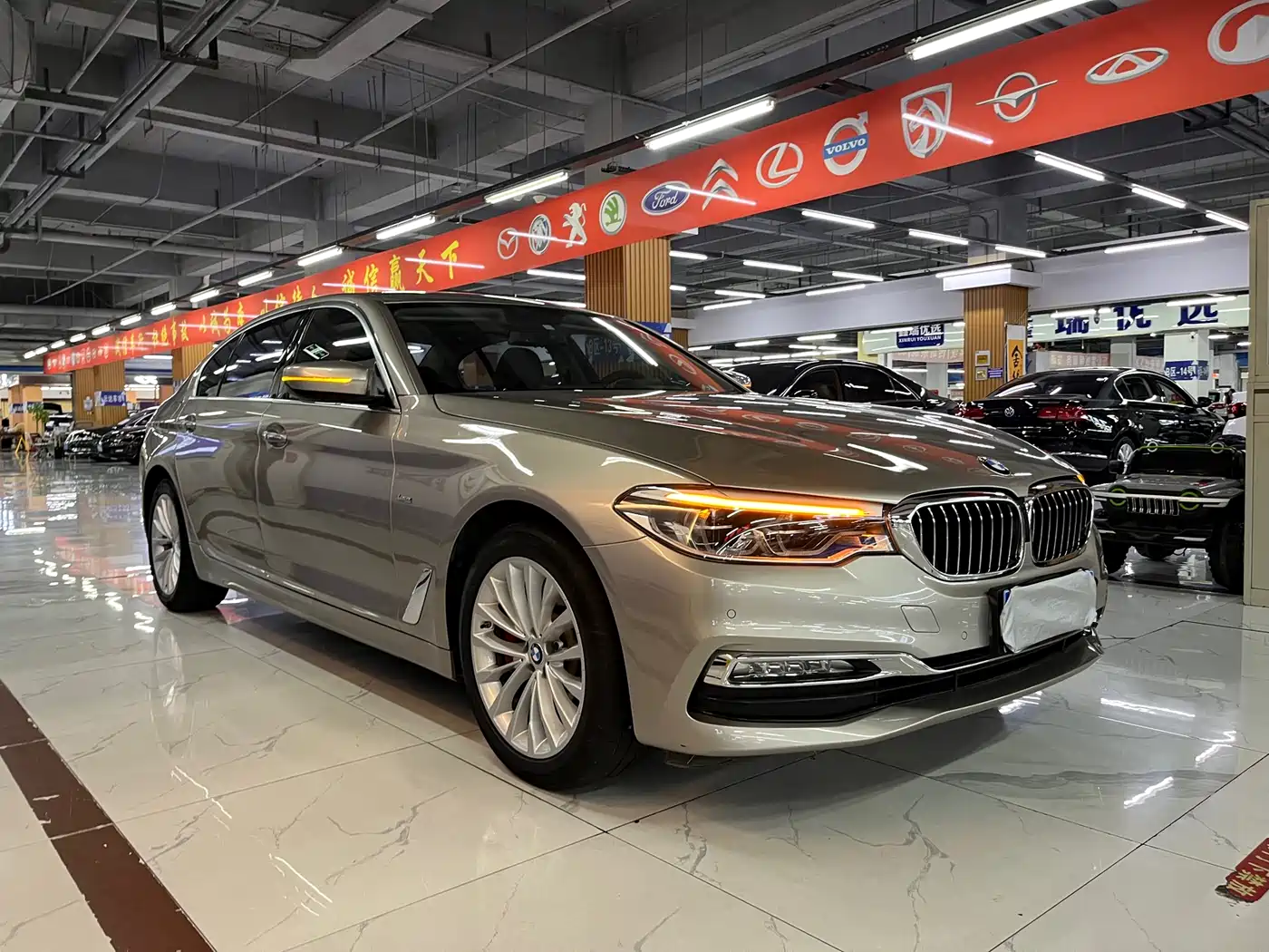 BMW 5 Series 2018 Facelift 530Li xDrive Luxury Package фото 6