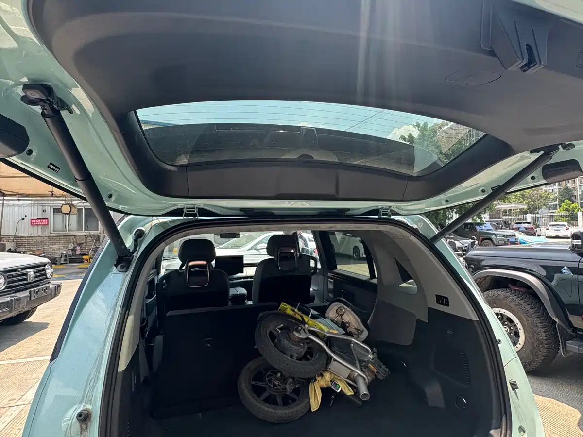 ZEEKR MIX 2026 2025 Smart Driving Edition