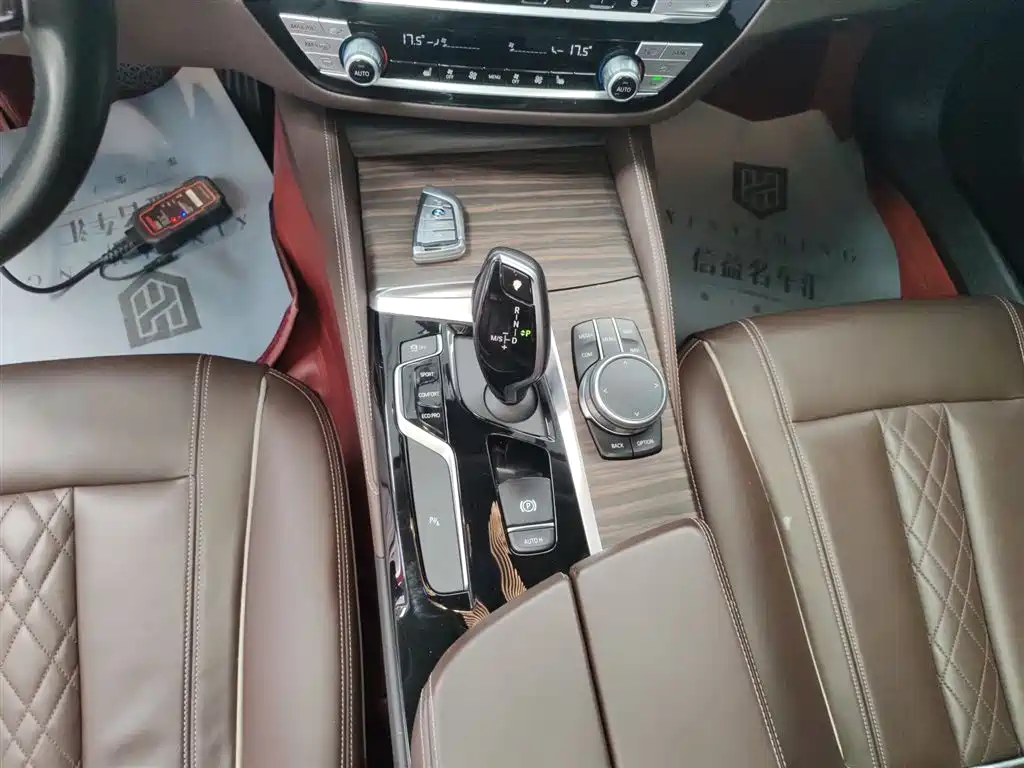 BMW 5 Series 2019 Facelift 530Li Leading Luxury Package фото 14