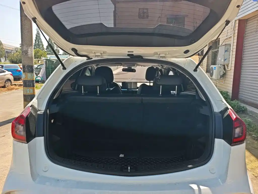 Geely Geometry EX3 Kung Fu Bull 2022 2021 Strong Bull