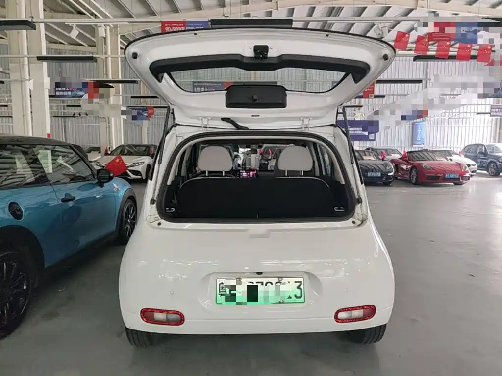 Ora White Cat 2021 2020 360km Luxury Model