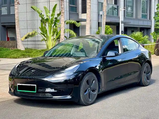 Tesla Model 3 2021