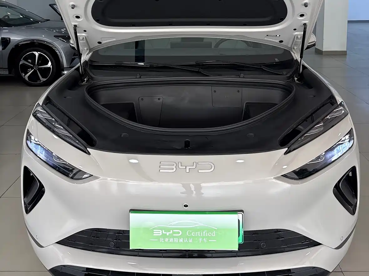 BYD SEA LION 06 NEW ENERGY