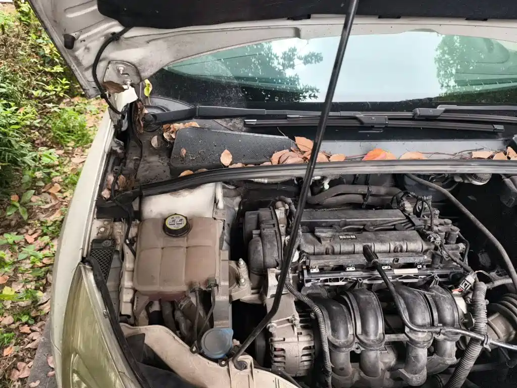 Ford Focus 2015 2012 Sedan 1.6L Manual Trend