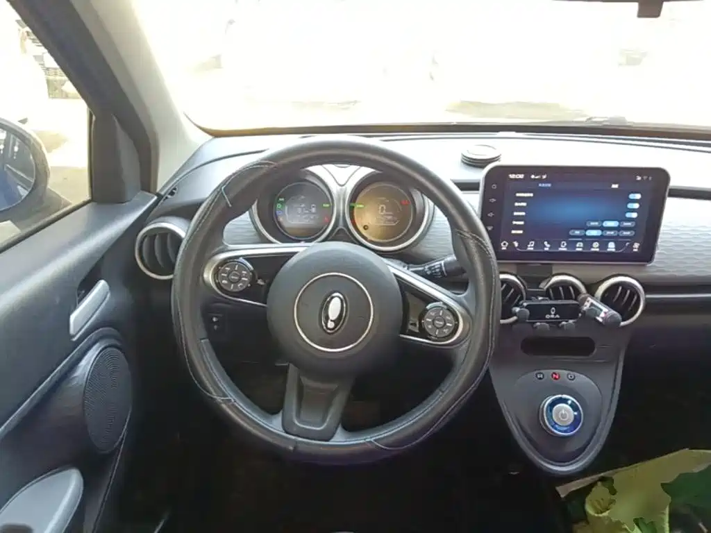 Ora Black Cat 2022 2022 Facelift 301km Pet Edition LFP Version