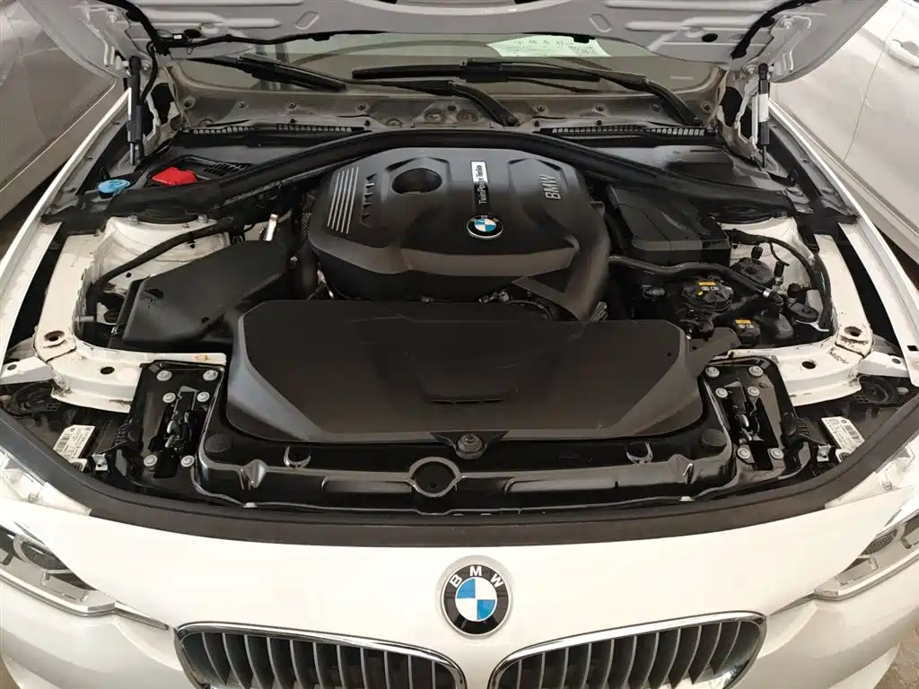 BMW 3 Series 2018 320Li Fashion Style фото 20