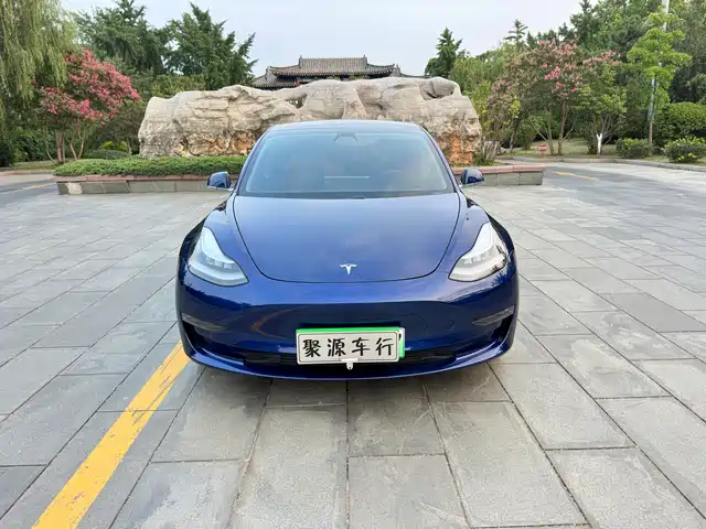 Tesla Model 3 (Import) 2019