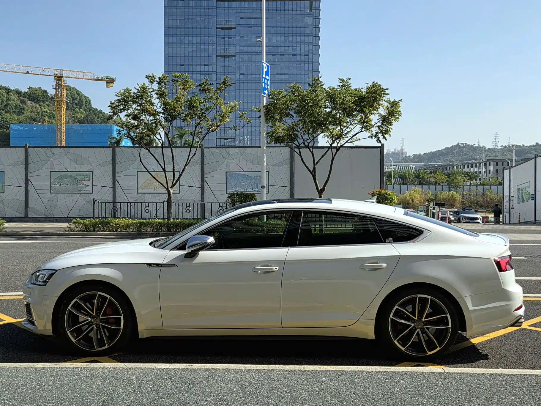 Фото 3 - Audi S5
