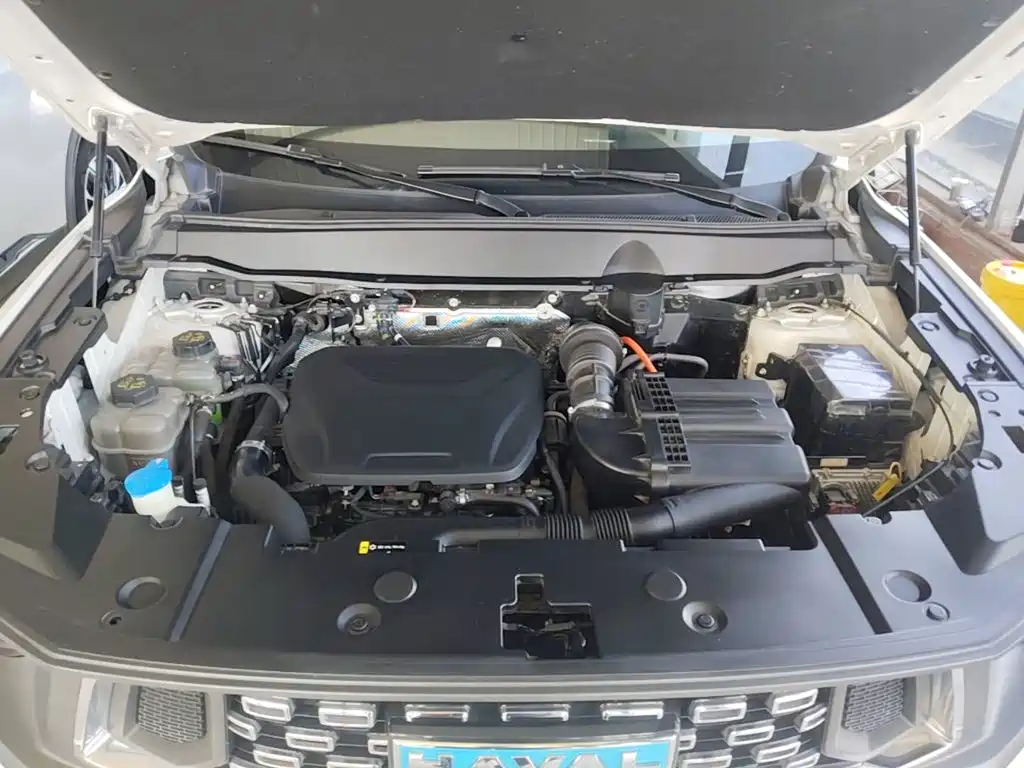 Haval Second-Generation Big Dog New Energy 2023 2023 DHT-PHEV 105km Trendy Electric Edition Plus