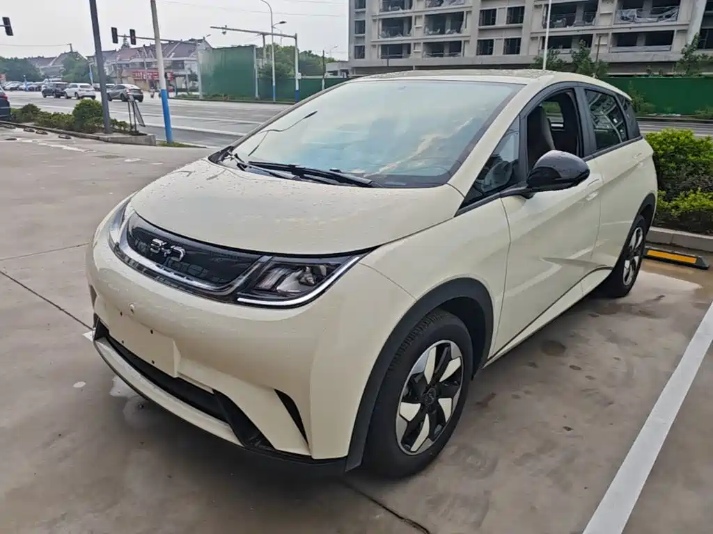 BYD Dolphin 2026 2025 420km Freedom Edition