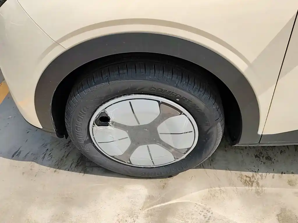 Geely Galaxy Starry Wish 2026 2026 Edition 310km Youth Version