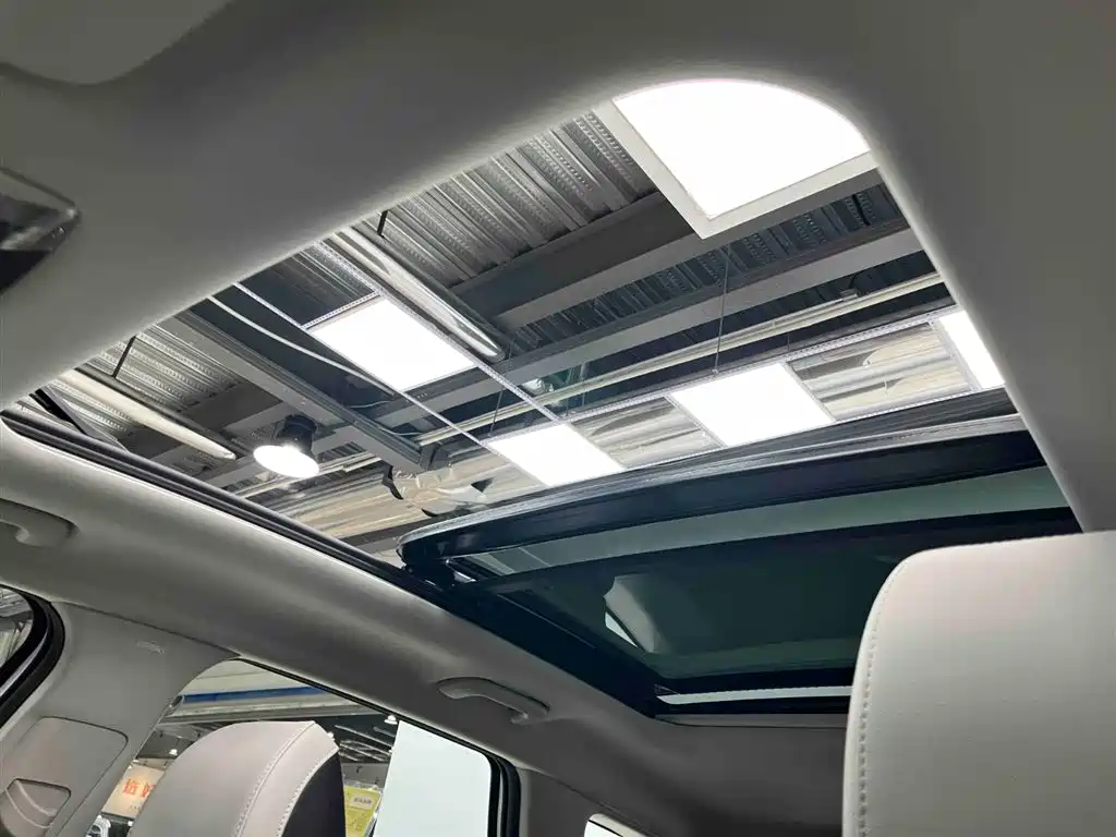 KIA LION PLATINUM EXPANDS THE WORLD