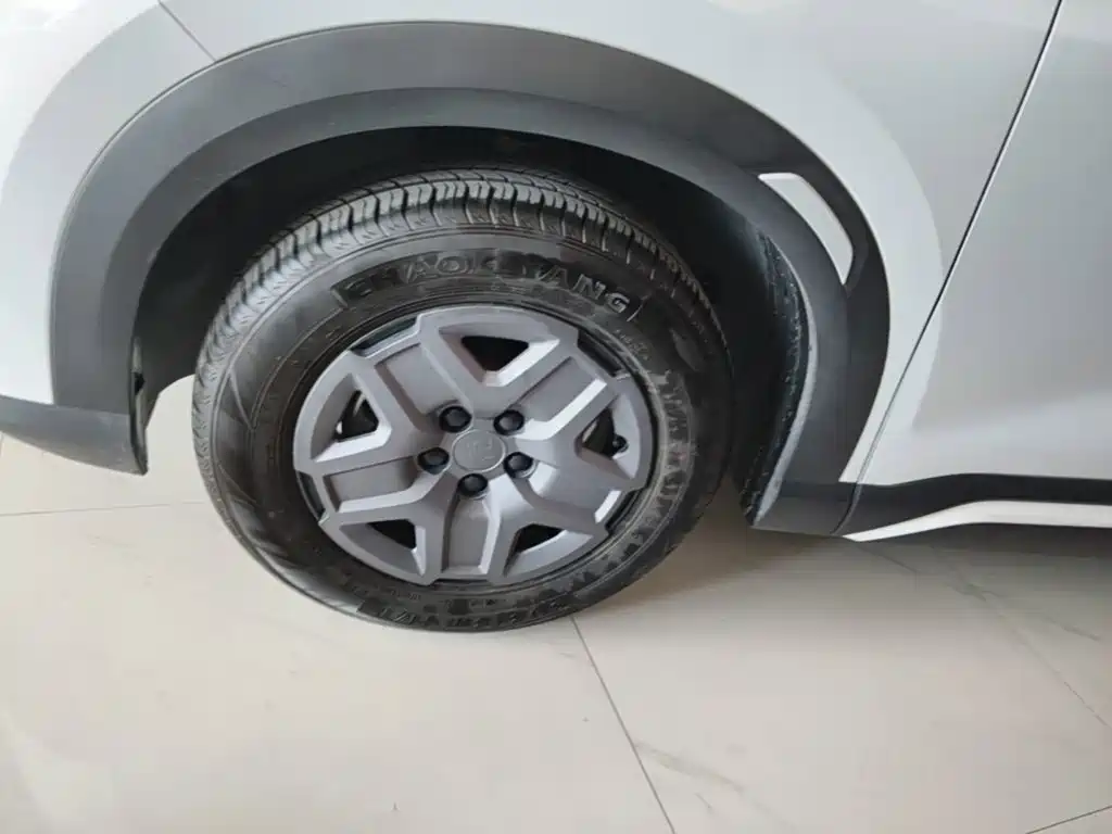 BYD Yuan UP 2026 2025 Model 301KM Navigator