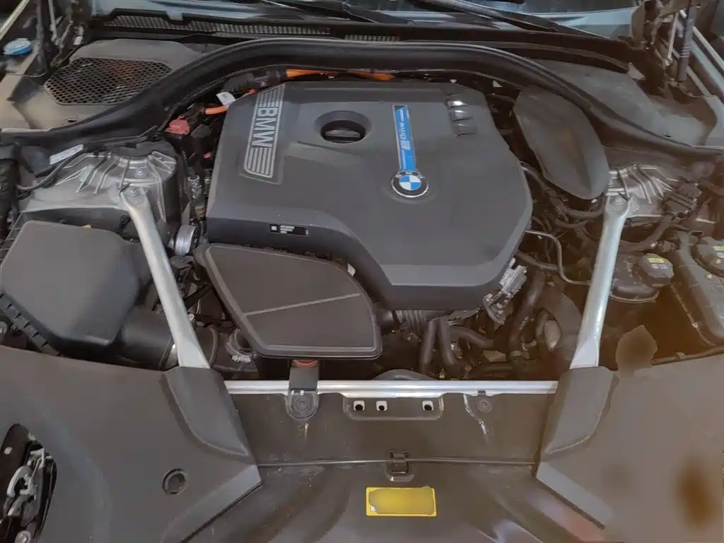 BMW 5 Series New Energy 2019 Facelift 530Le Pioneer Edition фото 20
